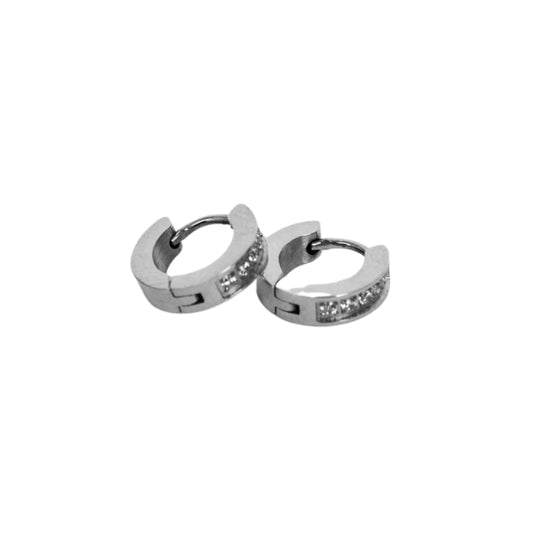 Stainless Steel with Zircon Silver Earrings